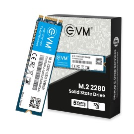 EVM M.2 (2280) 128GB SATA SSD 3D TLC NAND Flash Internal SSD Fast Performance Ultra Low Power Consumption (EVMM2-128GB, Black)