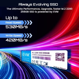 EVM M.2 (2280) 256GB SATA SSD 3D TLC NAND Flash Internal SSD Fast Performance Ultra Low Power Consumption (EVMM2-256GB, Black)