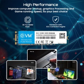EVM M.2 (2280) 256GB SATA SSD 3D TLC NAND Flash Internal SSD Fast Performance Ultra Low Power Consumption (EVMM2-256GB, Black)
