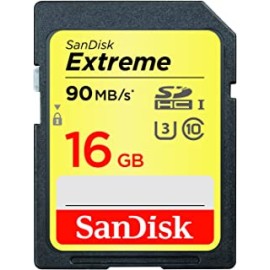 Sandisk Extreme SDHC 16GB 90MB/S C10 Flash Memory Card (SDSDXNE-016G-ANCIN)